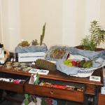 L'area espositiva dell'Orto Botanico