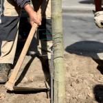 La dedica al prof. Lentini