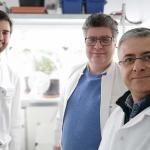 Da sinistra Milan Milenovic, Jurgen Junk, Carmelo Rapisarda