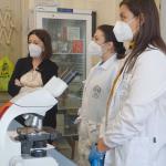 sezione di Biologia animale in via Androne