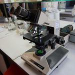 sezione di Biologia animale in via Androne