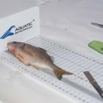 sezione di Biologia animale in via Androne