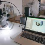 sezione di Biologia animale in via Androne