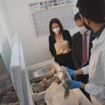 sezione di Biologia animale in via Androne