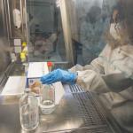 sezione di Biologia animale in via Androne