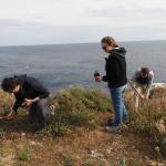 interventi di piantumazione sull’Isola Lachea