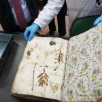 sezione di Biologia vegetale all'Orto Botanico