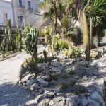 sezione di Biologia vegetale all'Orto Botanico