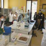 sezione di Biologia vegetale al Complesso "Verginelle"