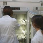 sezione di Biologia vegetale al Complesso "Verginelle"