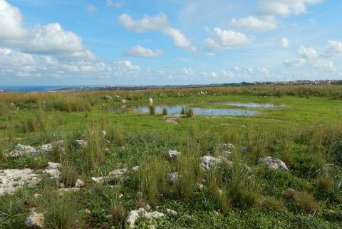 RNI Grotta Palombara. Una dolina, una conca naturale soggetta ad allagarsi con le piogge