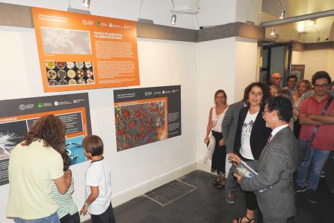 Il rettore Francesco Priolo visita la mostra