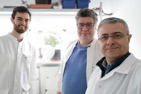 Da sinistra Milenovic, Junk, Rapisarda