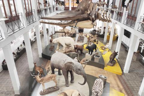 Museo di Zoologia veduta dall'alto