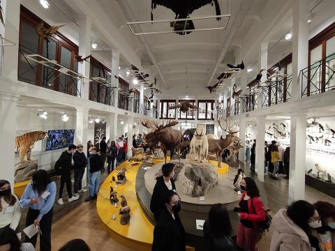 Un momento della visita al Museo di Zoologia