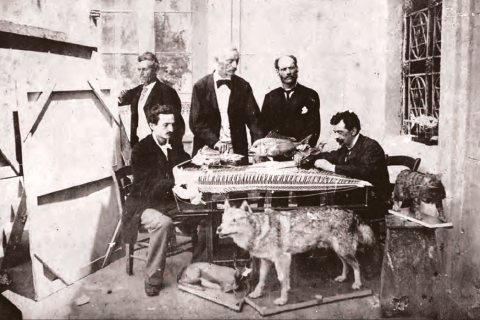 Da sinistra i naturalisti Reina, Doderlein, Riggio e Gelarda