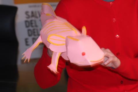Il modellino di Axolotl (foto S. Reito)