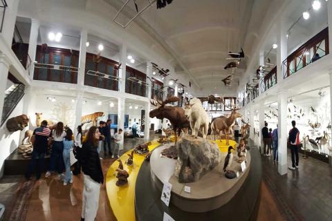 Muzoo un momento della visita Giornata Fai d'Autunno