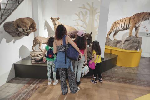 In foto un momento della visita guidata al Museo di Zoologia
