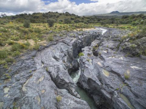 Forre laviche del Fiume Simeto (ph Pannucci Stefano, CC BY-SA 4.0 via Wikimedia Commons)
