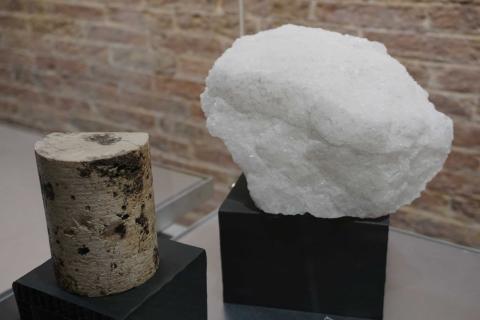 rocce della serie gessoso-solfifera siciliana esposte alla Città della Scienza