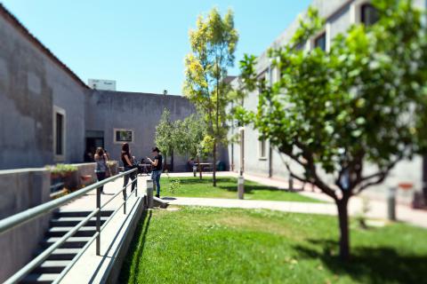 Plesso Verginelle, Dipartimento di Scienze della Formazione