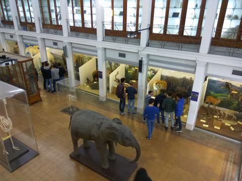 Visitatori al Museo di Zoologia