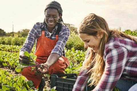 Migranti in agricoltura