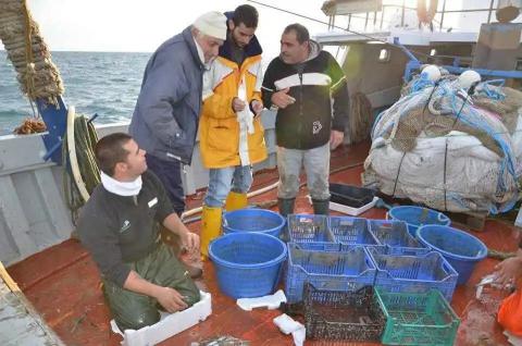 Francesco Tiralongo, attività di ricerca