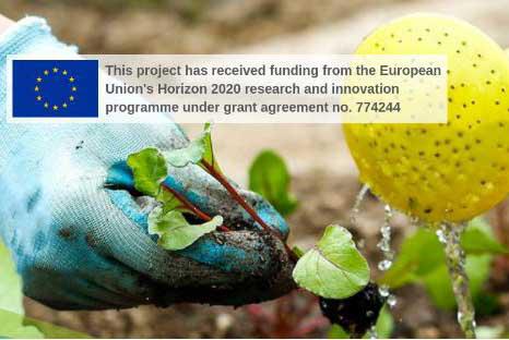 Progetto Horizon 2002 "Bresov"