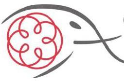 Ordine dei commercialisti