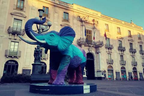 L'Elefante in piazza Università