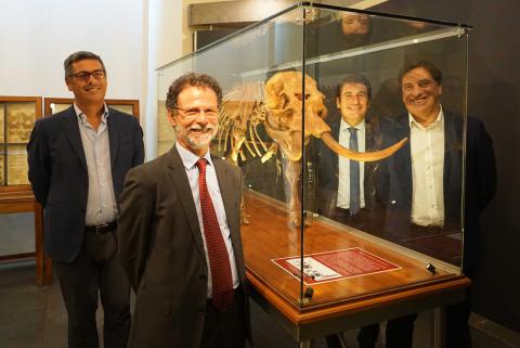 L'elefante nano: da sinistra Giovanni La Via, Francesco Priolo, Sergio Parisi e Salvo Pogliese