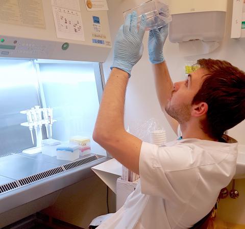 Mario Presti in laboratorio