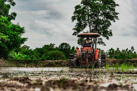 Agricoltura, fanghi e acque reflue
